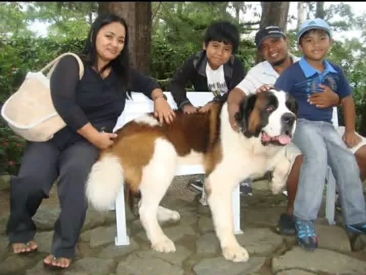 My Family